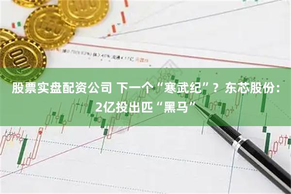 股票实盘配资公司 下一个“寒武纪”？东芯股份：2亿投出匹“黑马”