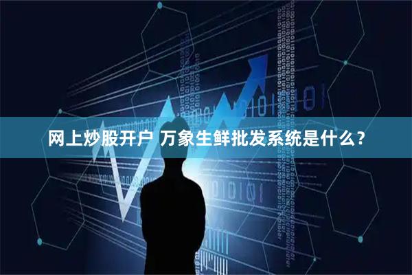 网上炒股开户 万象生鲜批发系统是什么?
