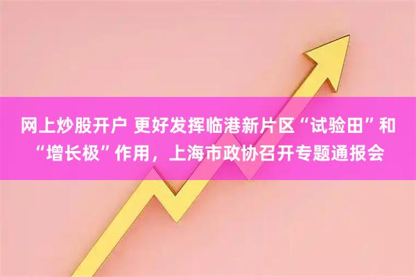 网上炒股开户 更好发挥临港新片区“试验田”和“增长极”作用,上海市政协召开专题通报会