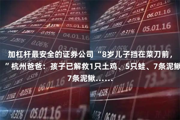 加杠杆最安全的证券公司 “8岁儿子挡在菜刀前，哭了！”杭州爸爸：孩子已解救1只土鸡、5只蛙、7条泥鳅……
