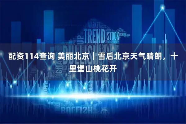 配资114查询 美丽北京｜雪后北京天气晴朗，十里堡山桃花开
