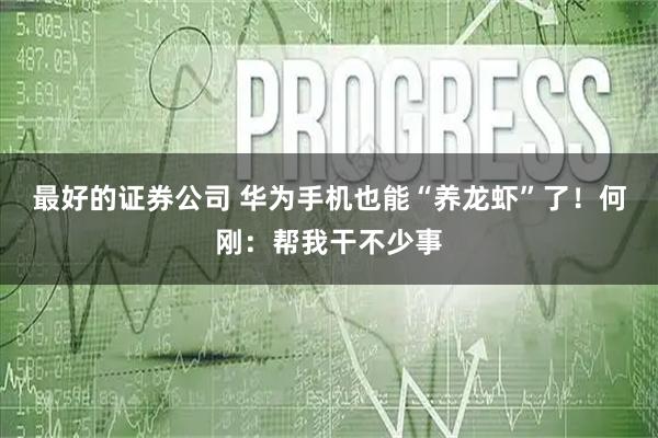 最好的证券公司 华为手机也能“养龙虾”了！何刚：帮我干不少事