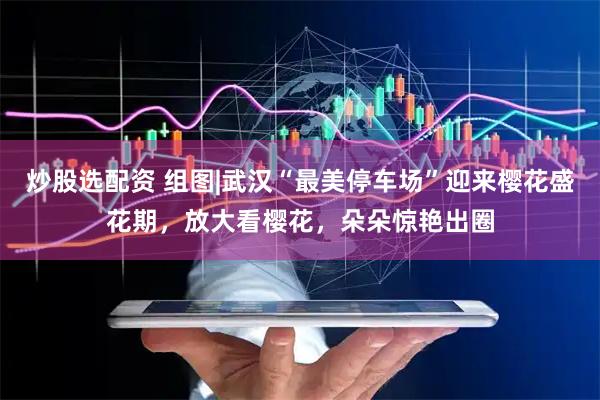 炒股选配资 组图|武汉“最美停车场”迎来樱花盛花期，放大看樱花，朵朵惊艳出圈