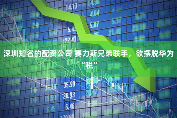 深圳知名的配资公司 赛力斯兄弟联手，欲摆脱华为“税”